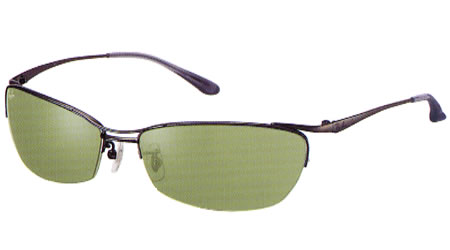 画像1: RAYBAN RB3315 004/82 レイバン　2006モデル